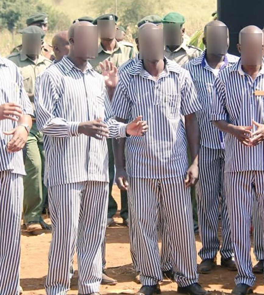 Prisoners Cause